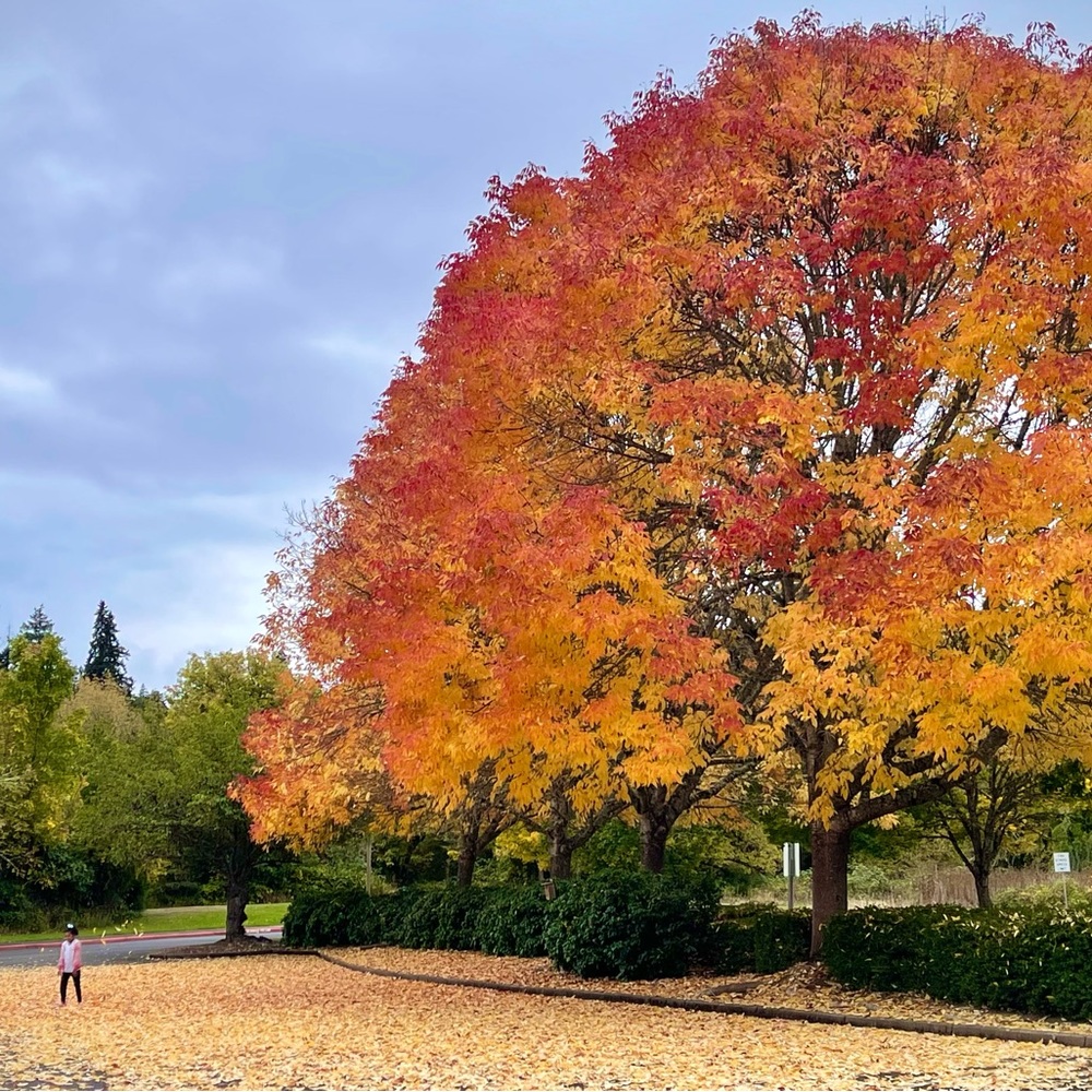 Meet your Posher, Sharon